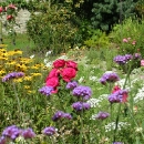 www-blackwatercastle-com-walled-garden-3